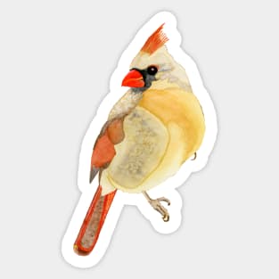 FEMALE CARDINAL - Yellow, Red, & Orange Watercolor Design Sticker